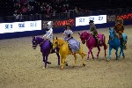 Quadrille - 00500